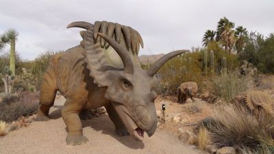 Tucson25_312.JPG