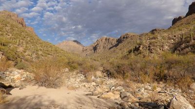 Tucson25_244.JPG