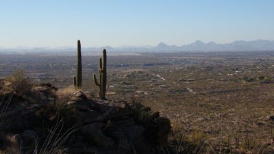 Saguaro, AZ