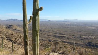Tucson25_131.JPG