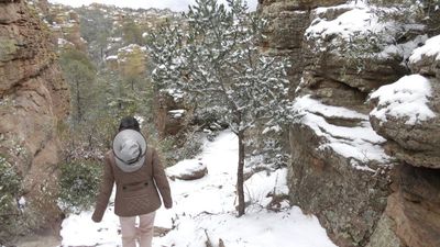 Tucson25_438.JPG