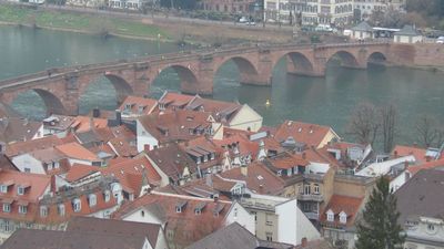 Rhein25_741.JPG
