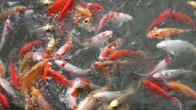 XiJi25_417.JPG