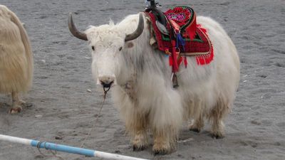 XiJi25_827.JPG