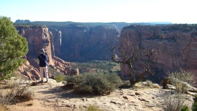 Spider Rock Overlook