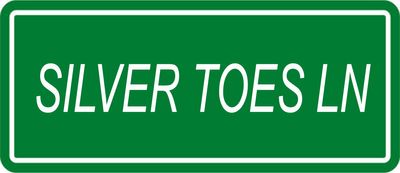 SILVER TOE LN