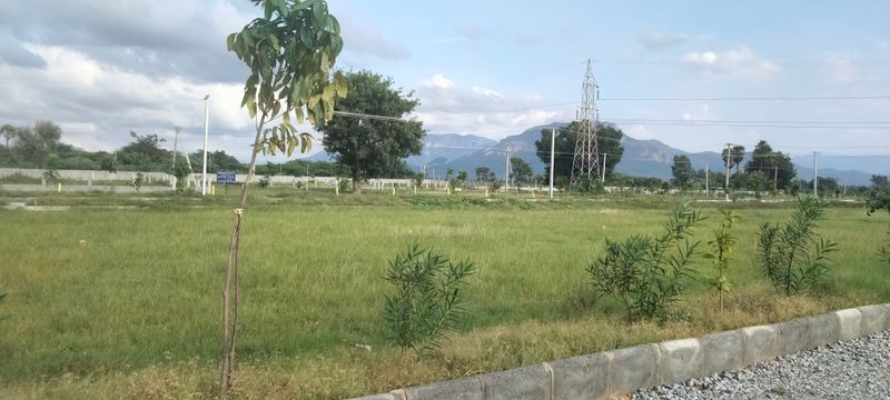 Buy Residential Plots for sale in Tirupathi