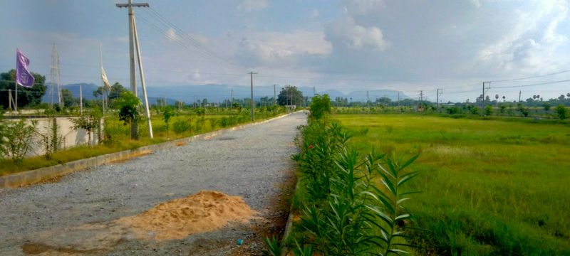 Open Plots in Tirupati