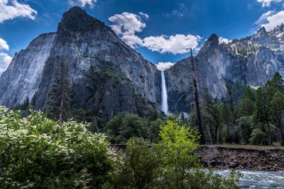 Yosemite national park falls