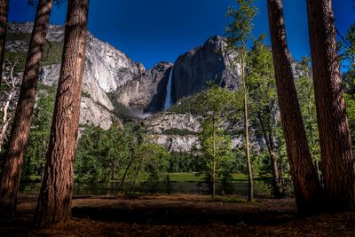 Yosemite national park falls