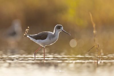 0Y2A5968 copy - Copy.jpg