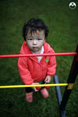 Lil Bola