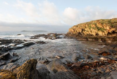 700_7596F baai t.b.v. orca's (bay where Orca's catch young Southern elephant seals).jpg