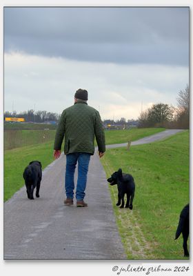 honden_dogs