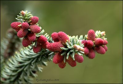 JUL00417 -1.jpg