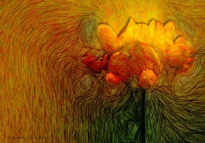 bloemen_nabewerkt_flowers_postworked