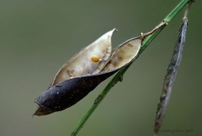 P9211344 -1.jpg