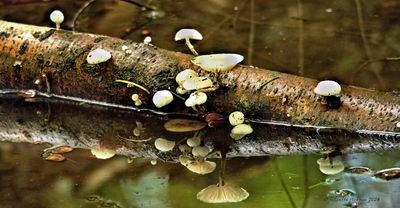 P9290176 -1.jpg
