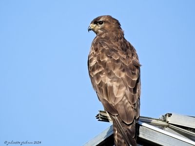 DSCN0630.jpg
