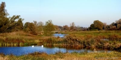 DSCN0278.jpg