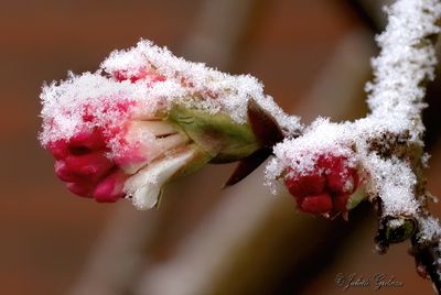 P1180191 -1.jpg