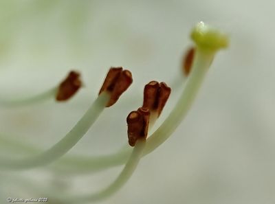 nieuw-new