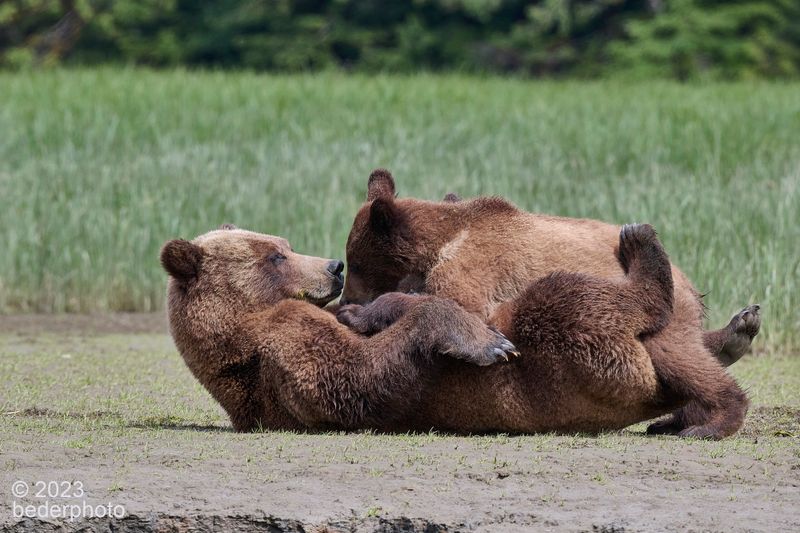 mom totally down for guzzling cub