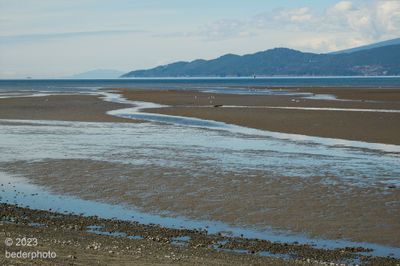 west view at low tide