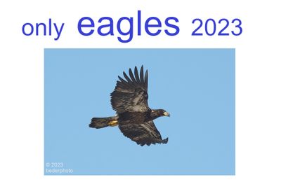 eagles_2023