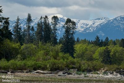 shore and inland ranges ...Vancouver Island