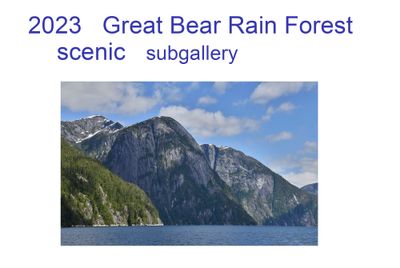 2023_great_bear_scenic