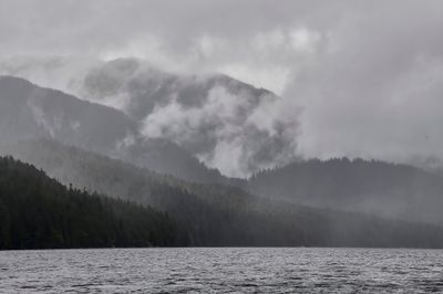 no trip is without rain in a rainforest