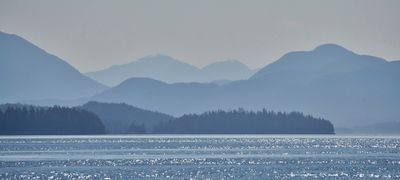our last marine view