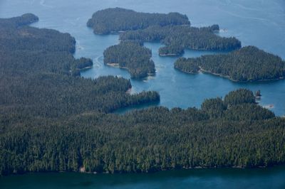 back in seaplane heading to Port Hardy
