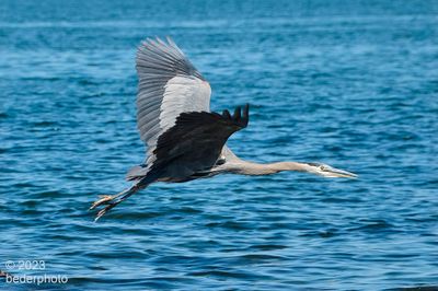  low flight for a few seconds