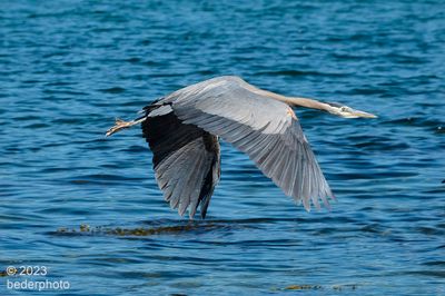 streamlined flight 