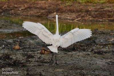   landing display