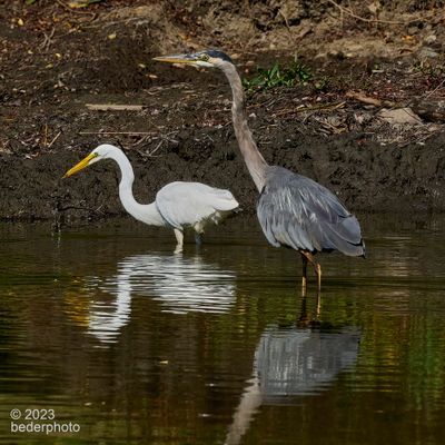 short lived encounter