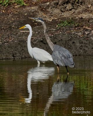 g13/27/1147027/3/173941674.b873e65f.JPEG
