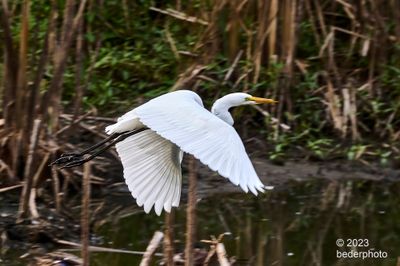 brief low-level flight