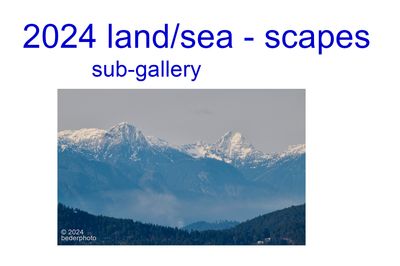 land & sea scapes 2024 