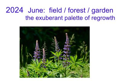 2024june_botany