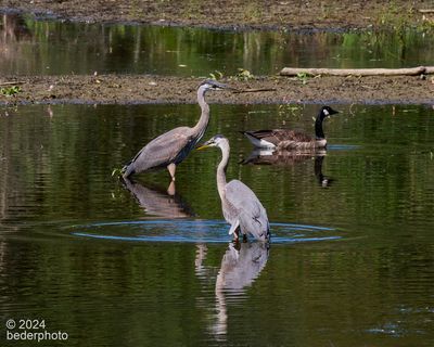 g13/27/1147027/3/174737759.b6f6521f.JPEG