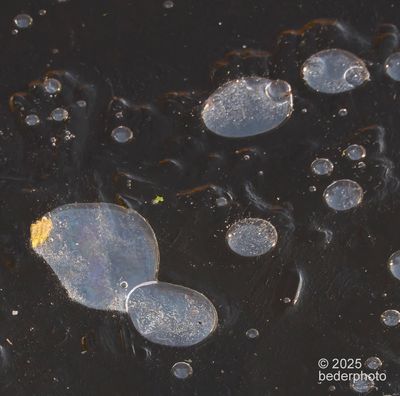 frozen bubbles refracting sunlight