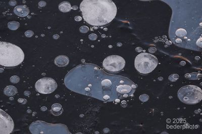 frozen bubbles study #1