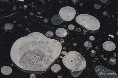Frozen bubbles  study #2