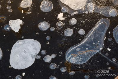 Frozen bubbles  study #4