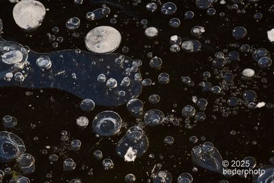 Frozen bubbles  study #5
