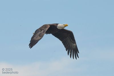 g13/27/1147027/3/175379830.fde1701f.JPEG