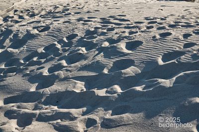 2025_landsea_scapes